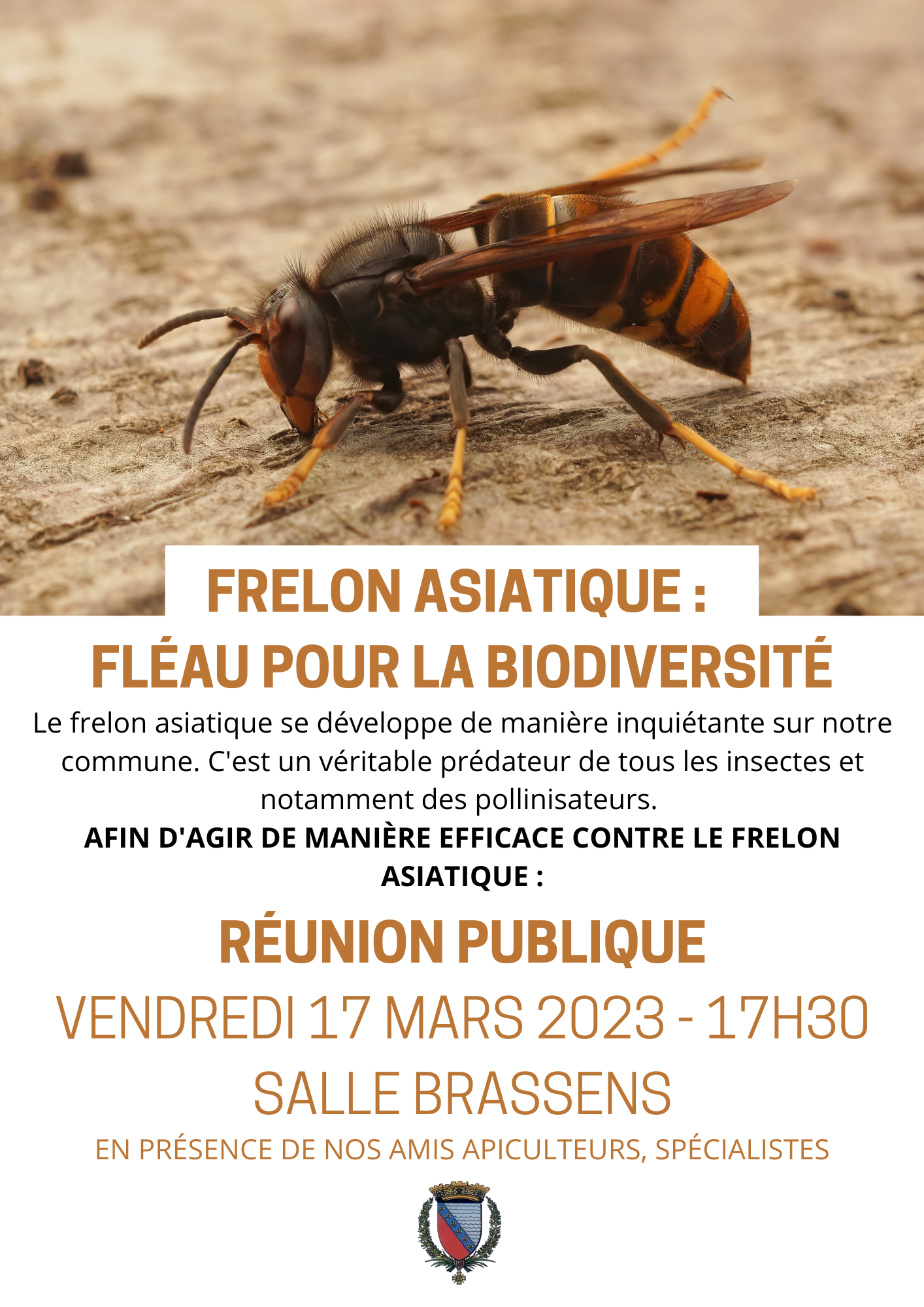 frelon asiatique fléau pour la biodiversité