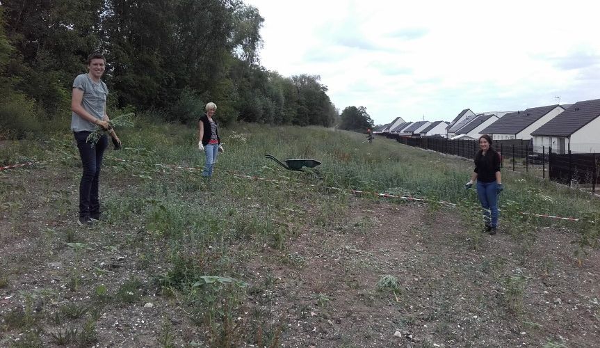 20170626 113104slide