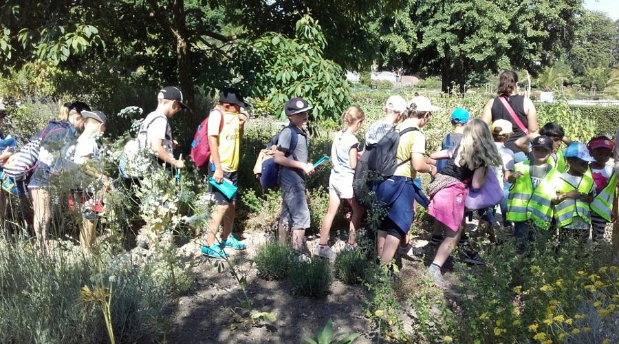 20180628 110342 Resized