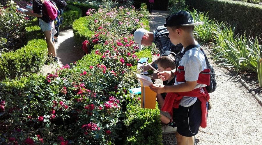 20180628 110951 Resized 2