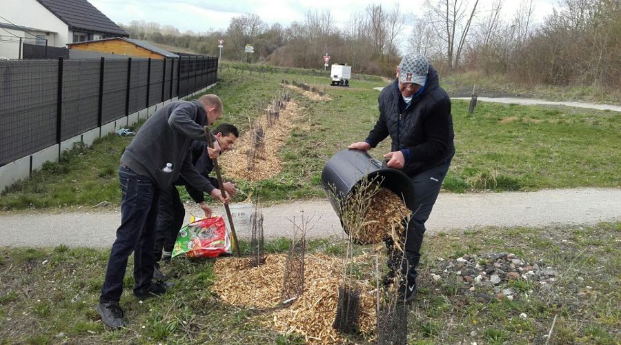 20190325 100523 Resized