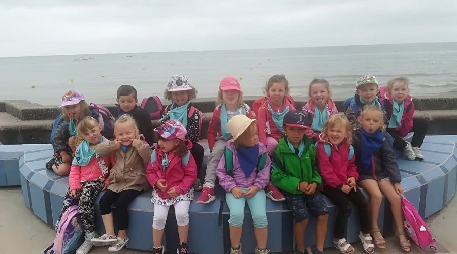 37591145 10212089931348851 3838705760435437568 N