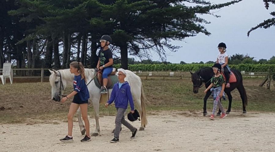 Resized 20180727 155058