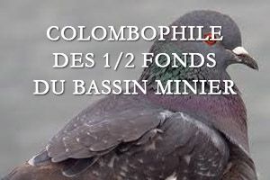 Couverture Fondsbassin
