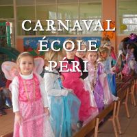 Couverture Pericurie2016