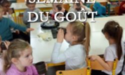 Couverture Semainedugout